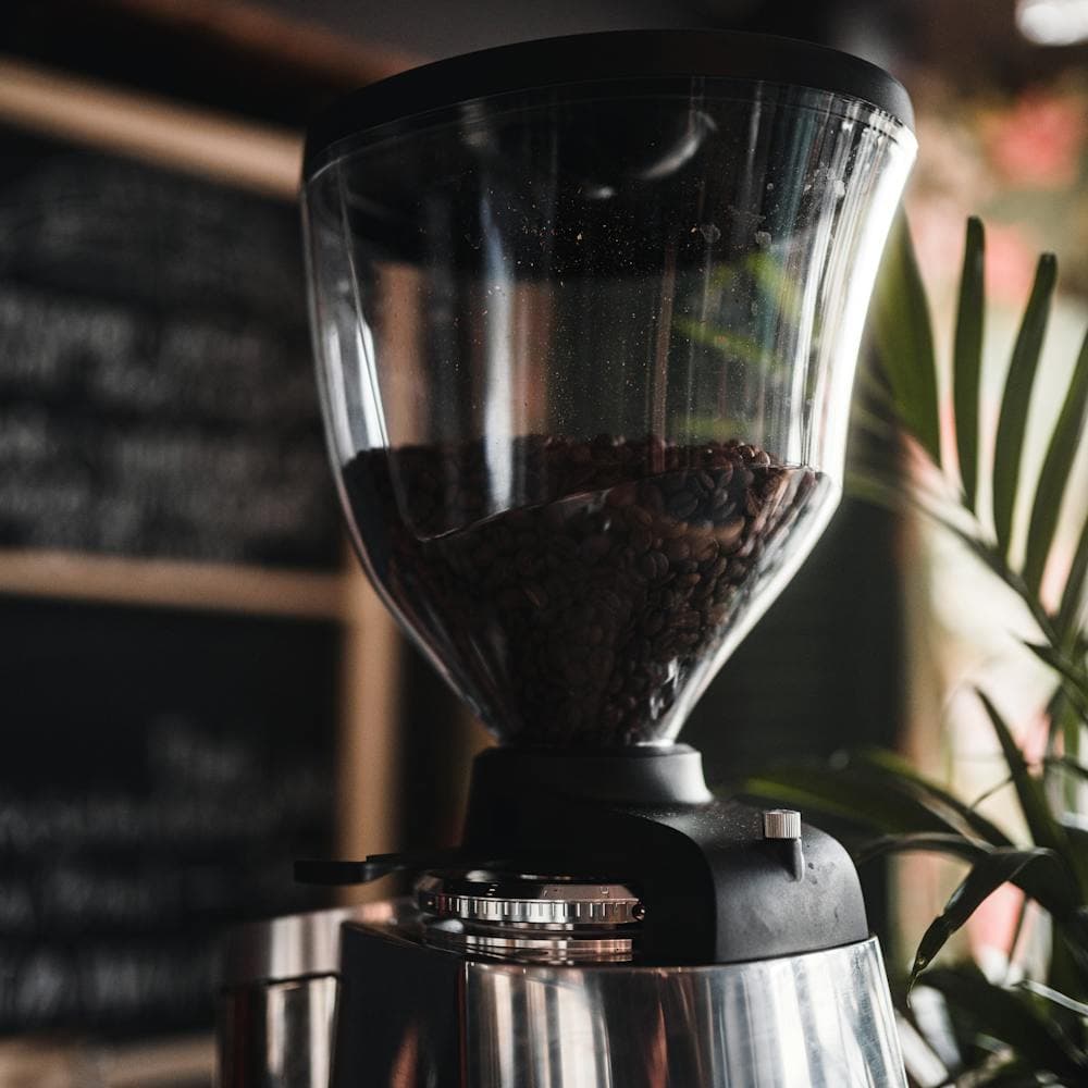Burr Coffee Grinder
